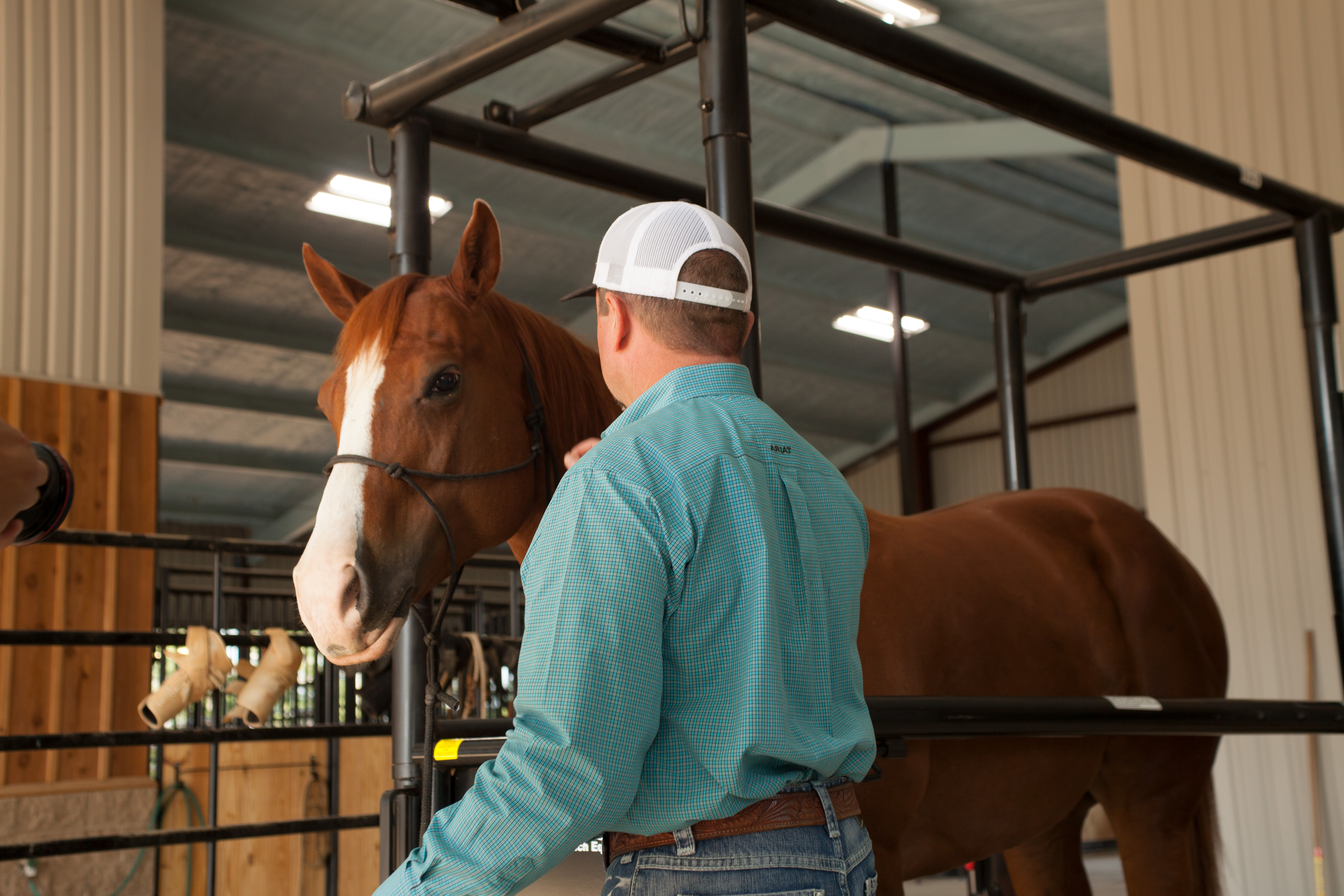 HS HorseStock Bynum 14.jpg